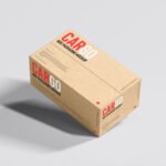 Archive Boxes
