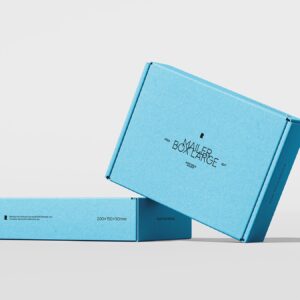 Treat Boxes