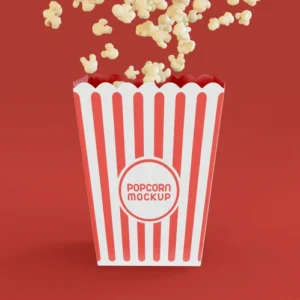 Popcorn Boxes