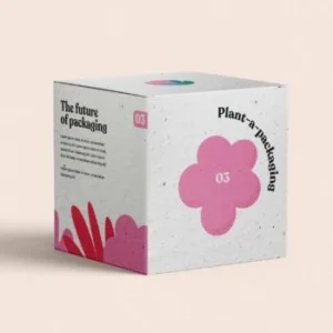 Seed Paper Boxes